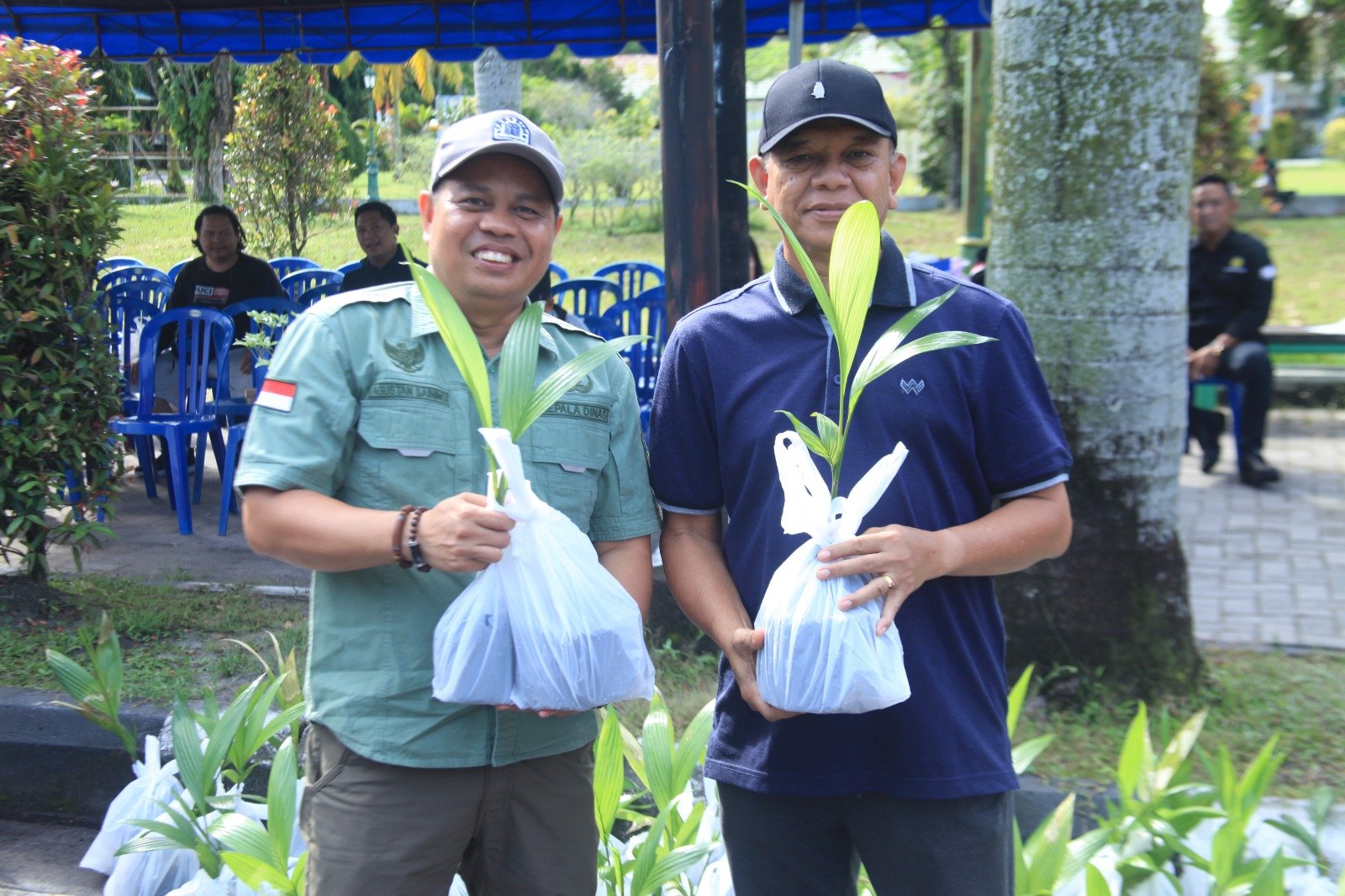 Bibit Pinang Disebar Gratis, Dishut Dorong Masyarakat Manfaatkan Pekarangan